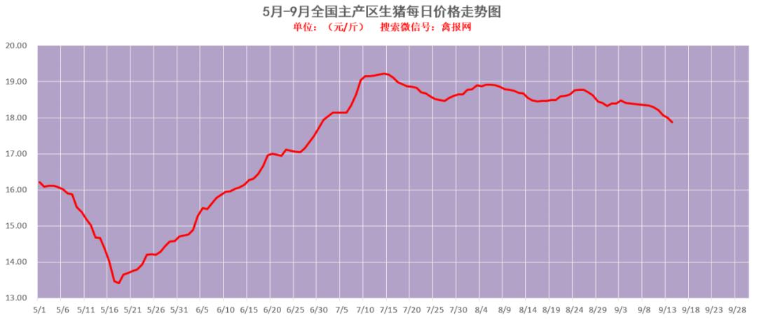 今日肉鸡价格行情深度解析