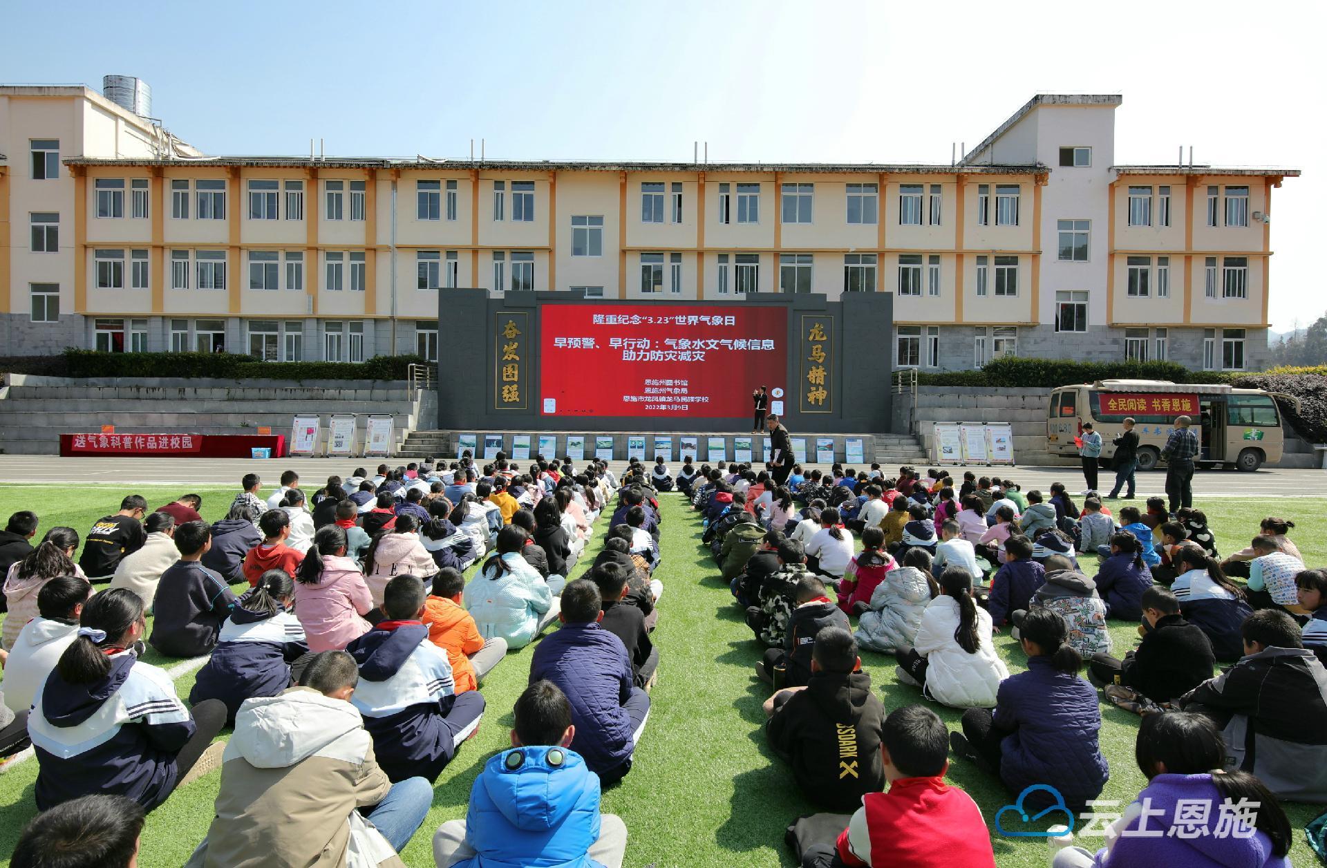 仙居县图书馆最新招聘启事概览