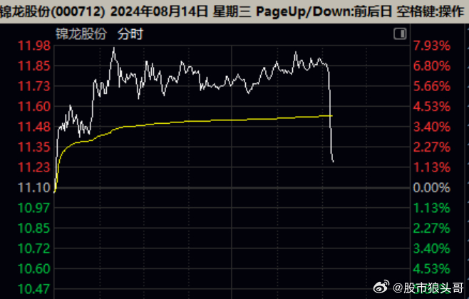 锦龙股份最新动态深度解析与前景展望（股票代码，000712）