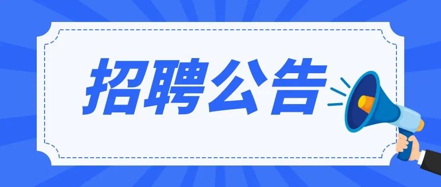 2024年12月11日 第6页