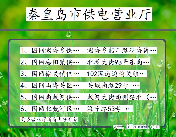 秦皇岛市供电局迈向智能、绿色、高效电力新时代的发展规划