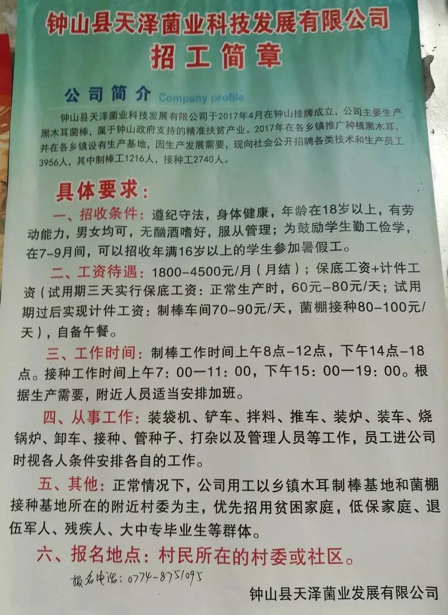 吉莎村最新招聘信息全面解析