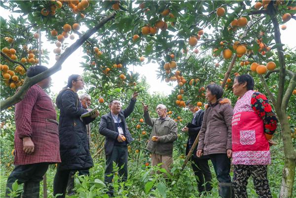 广安市审计局最新项目概览与动态分析