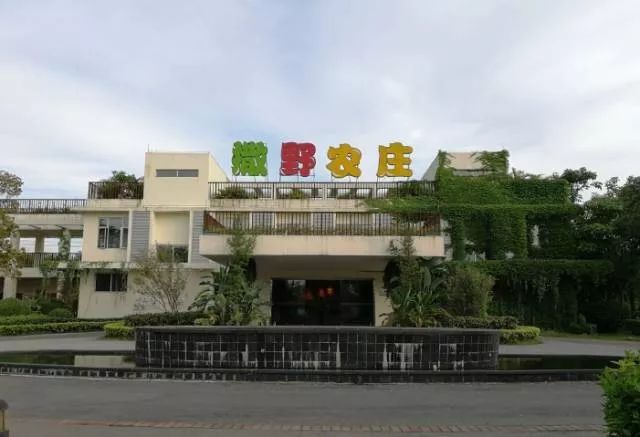 彩凤三个国营华侨农场新任领导引领农场发展之路