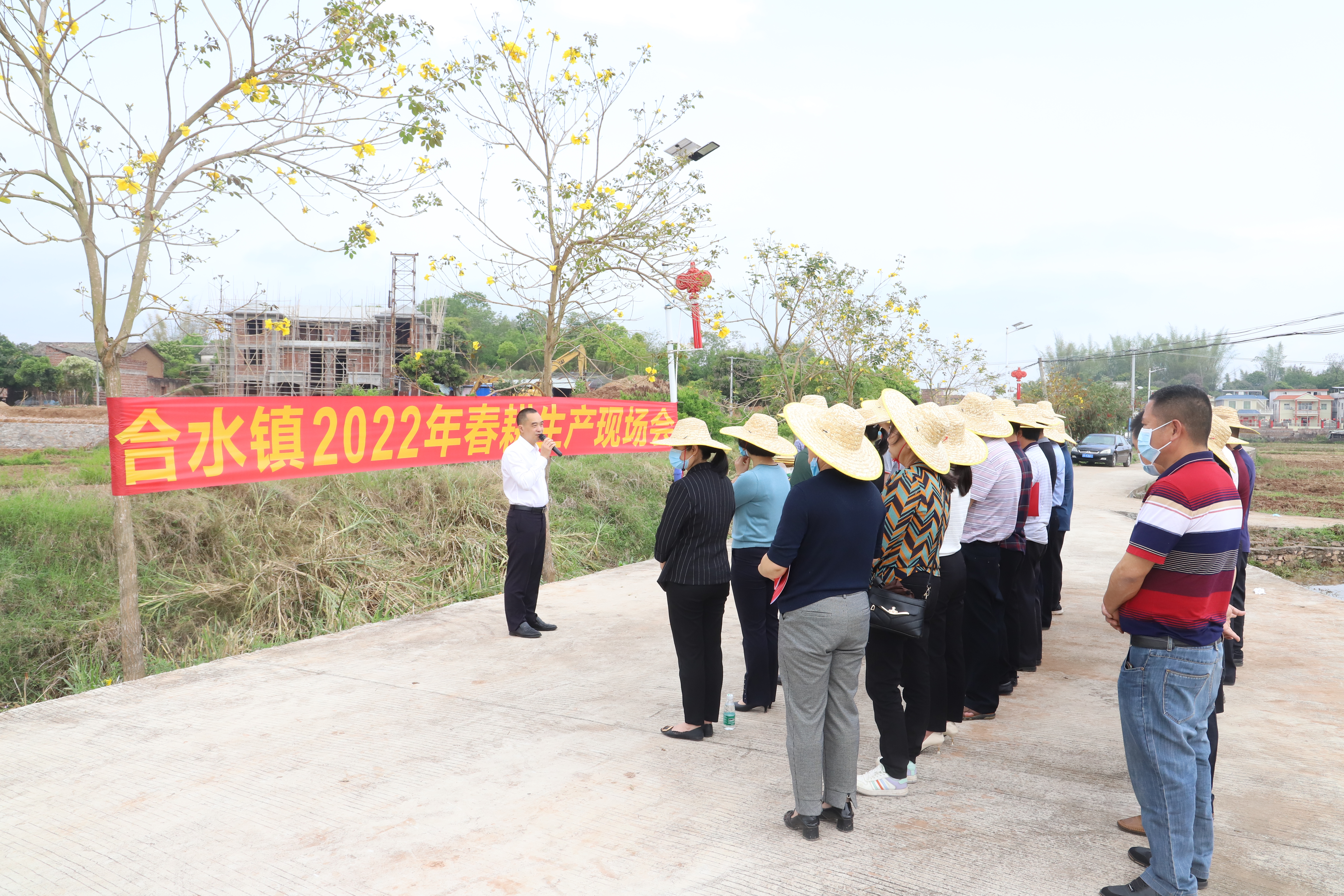 合水镇未来繁荣蓝图，最新发展规划揭秘